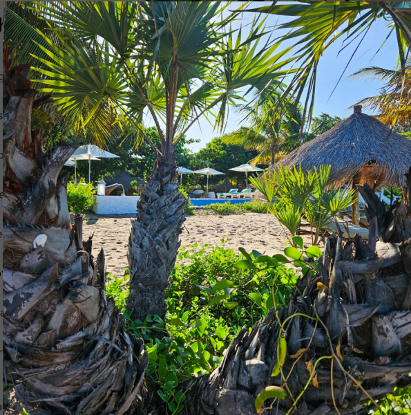 SERVIÇOS DE TURISMO