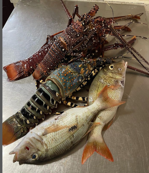 SERVIÇOS DE ALIMENTAÇÃO