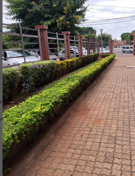 Prestadora de serviços de jardinagem e Paisagismo