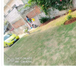 Jardinagem & Electrecidade