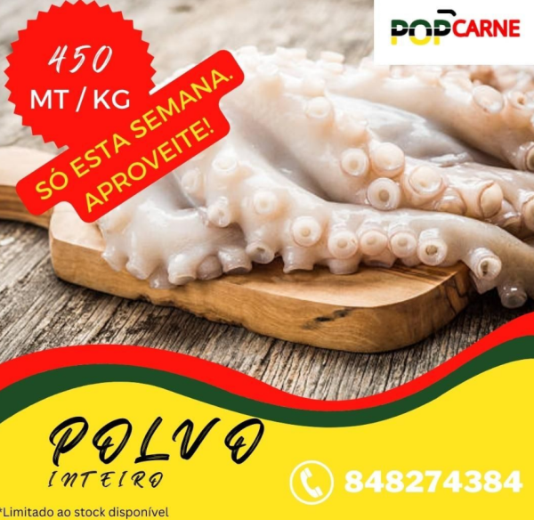 POLVO