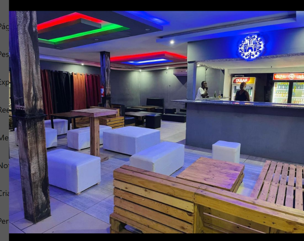 ORGANIZAÇÃO DE FESTAS