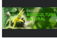 Curso De Avicultura Natural