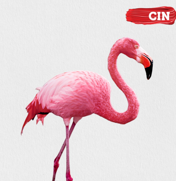 VENDA DE TODO TIPO DE TINTAS