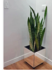 Aproveite, estamos com os melhores preços do mercado Vaso c planta: 5.000mt