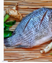 Sabe aquele peixe nutritivo e saboroso de qualquer