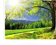 Zeza Malauene Photography