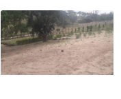 Trespasse espaço em Bilene. Encontra-se a 5km da praia