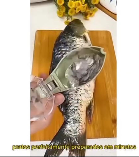 Descamador de peixe