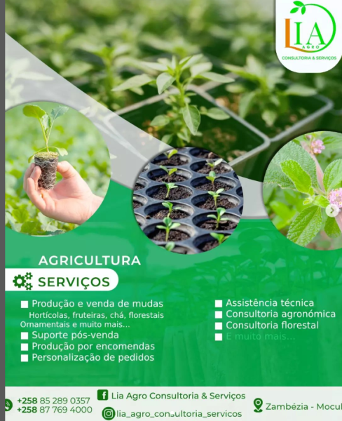 SERVIÇOS AGRICOLAS