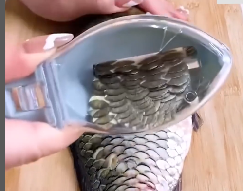 Escamador de Peixe Ultra Eficaz!