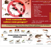 CONTROL DE PRAGAS