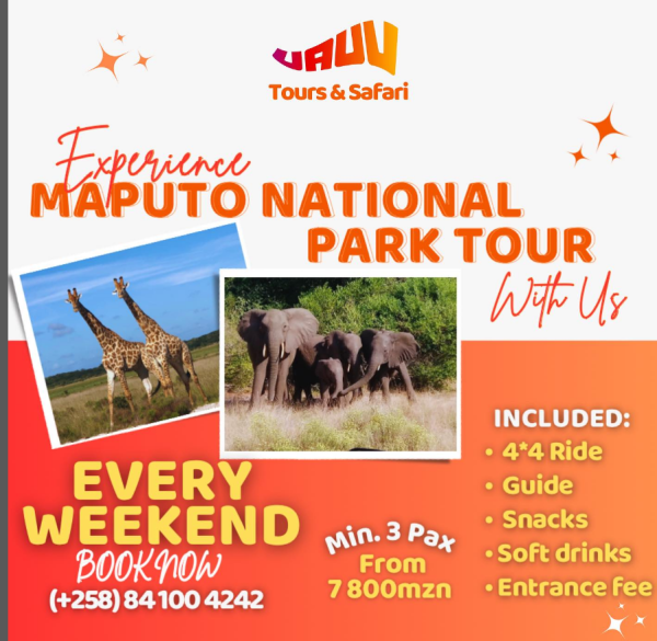 Tours & Safari