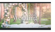 Adoptamos o conceito “MINI WEDDING”-