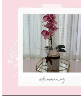 Orquídea roxa com base branca. Tamanho grande