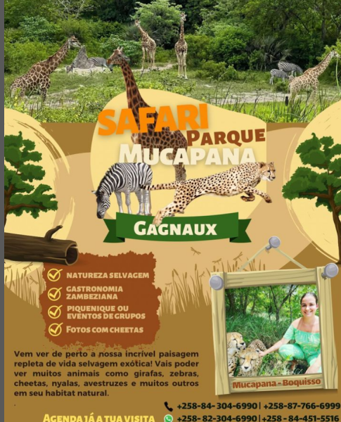 Safari parque!