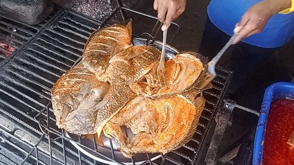 SERVICOS DE ALIMENTAÇÃO