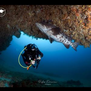 Desporto e lazer We are like finned fish in water,but with the soles of our feet in the land of Maputo.