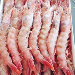 1Kg de camarão 🍤 1.100😍