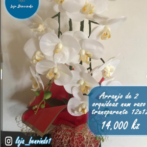 Arranjo de 2 orquídeas num vaso transparente 12x12 por 14.000 kz