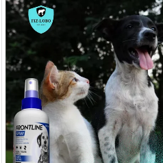 A gama Frontline® é eficaz na eliminação dos piolhos