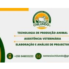 SERVIÇOS VETERINARIOS