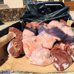 Serradura 700mt Farinha 1000mt