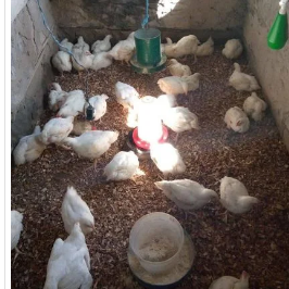 disponíveis por apenas 250mts,