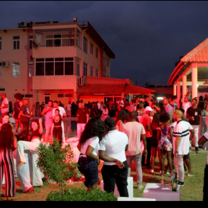 FESTAS E SERVIÇOS DECORAÇÃO