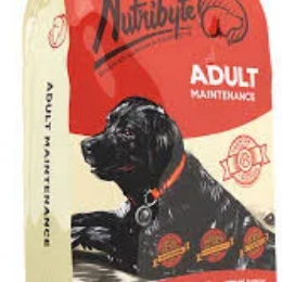Racao Premium Nutribyte Adulto 20kgs