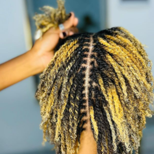 Microtwist natural hairstyles