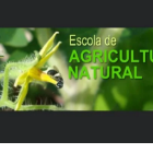 Curso De Avicultura Natural