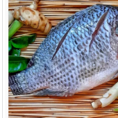 Sabe aquele peixe nutritivo e saboroso de qualquer