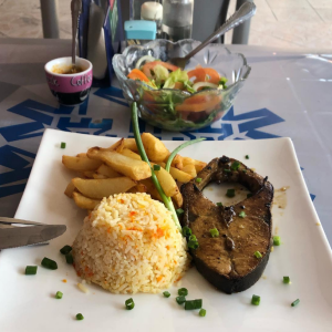 SERVIÇOS DE ALIMENTAÇÃO_ PEIXE