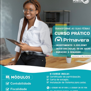 CURSO PRÁTICO DE PRIMAVERA