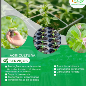 SERVIÇOS AGRICOLAS