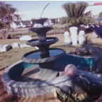 35mil tudo com direito a trasporte sem golfinho com dois golfinhos 45