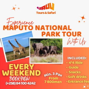 Tours & Safari