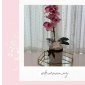 Orquídea roxa com base branca. Tamanho grande