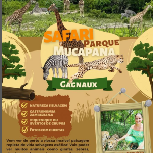 Safari parque!