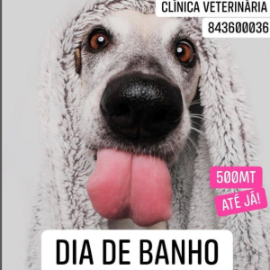 PET BANHO