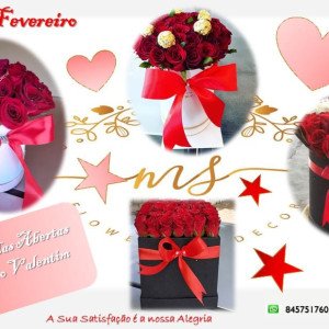 FLORES