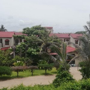 JARDINAGEM