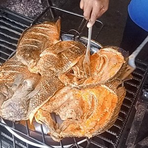 SERVICOS DE ALIMENTAÇÃO