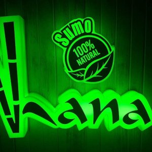 Logo 3D